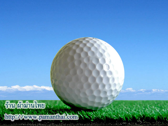 หญ้าเทียม สำหรับตกแต่งภายใน